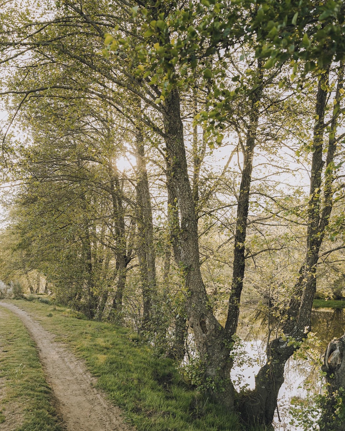 Gredos, vuelta a casa — foto 11