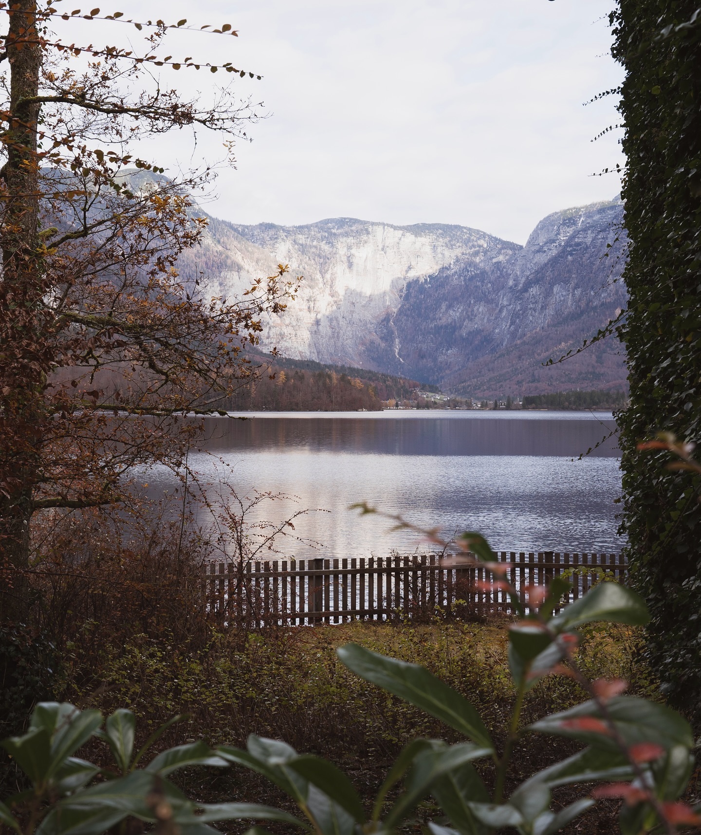 Lago de Hallstatt entre vegetación