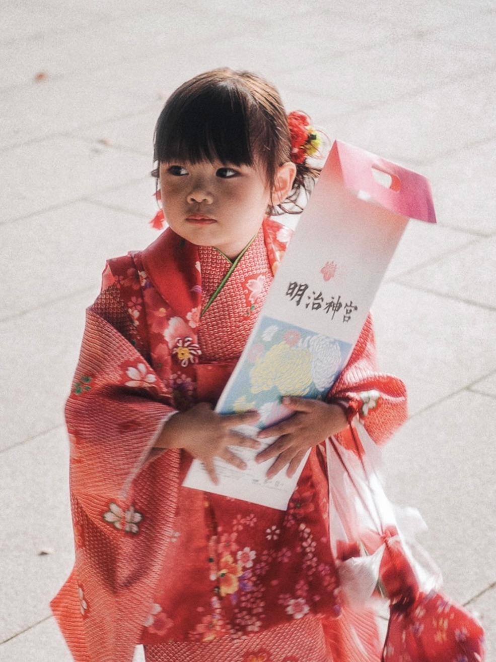 Memorias de Japón — foto 4